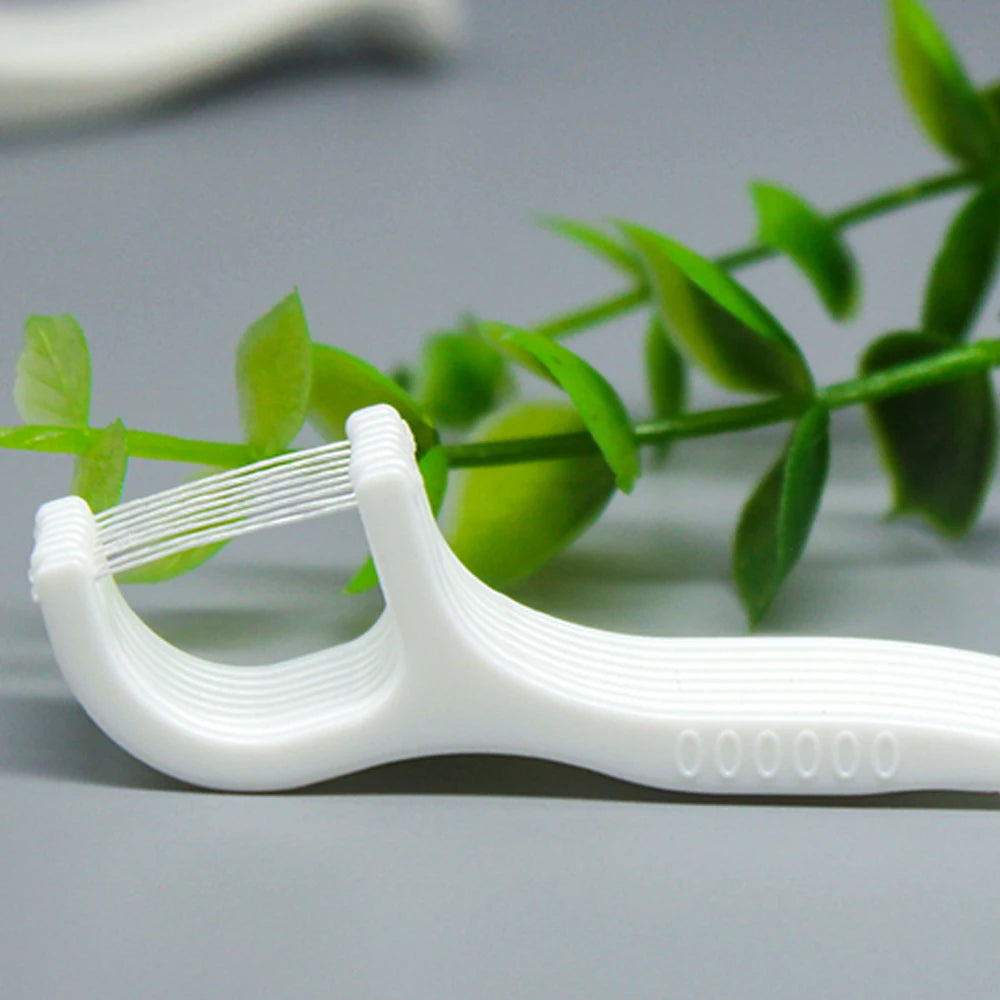 50PCS DENTAL FLOSS STICK – GotWin